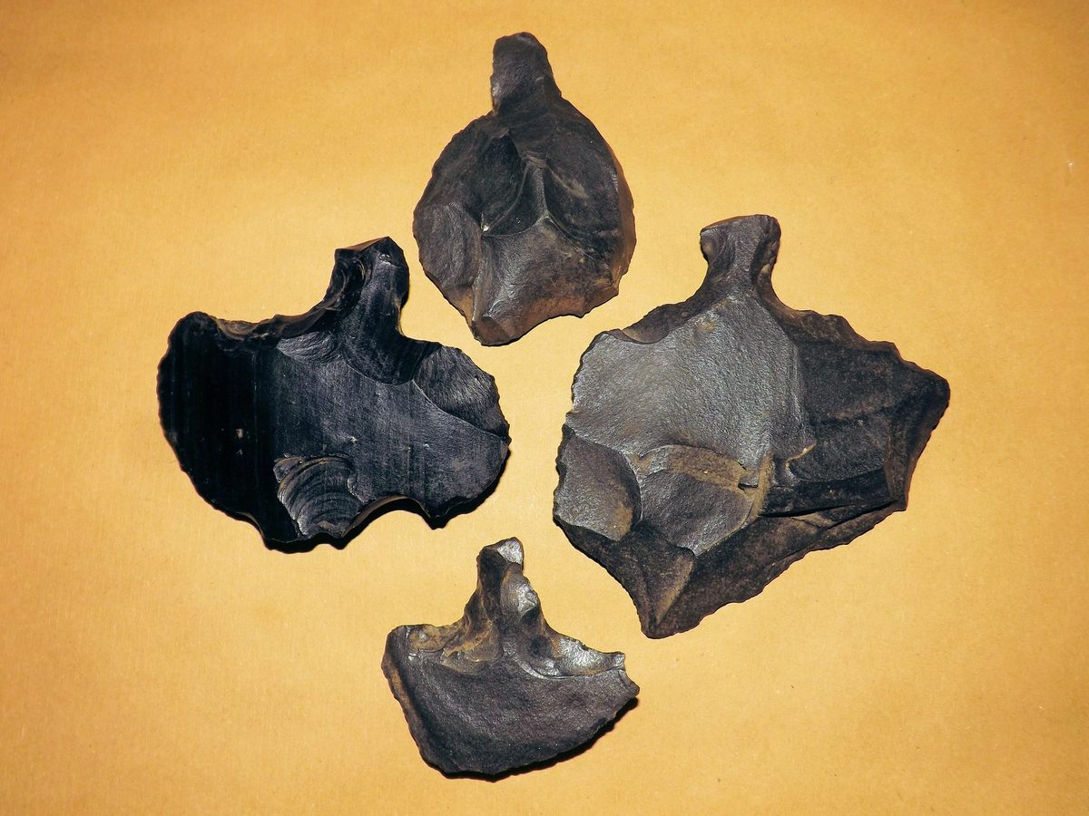 The obsidian mata'a were read for decades as spearheads, and that reading is most of the case for a war. Measured and compared as a set, they are general-purpose tools. This is the single object on which the accepted story turns.